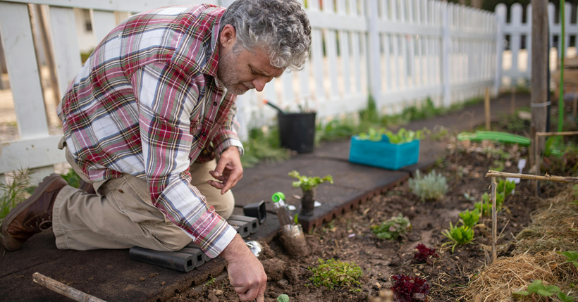 Los beneficios de Madre Natura. Efectividad de los jardines terapéuticos en personas con demencia