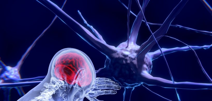 La neuroplasticidad en la enfermedad de Alzheimer: una alternativa terapéutica a nivel molecular